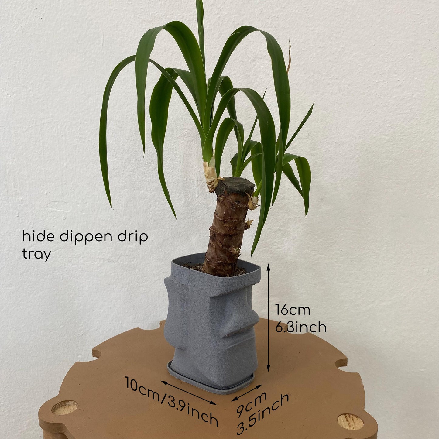 Moai Kafası Saksı – Gizli Damlama Tepsili Modern Yüz Çiçeklik