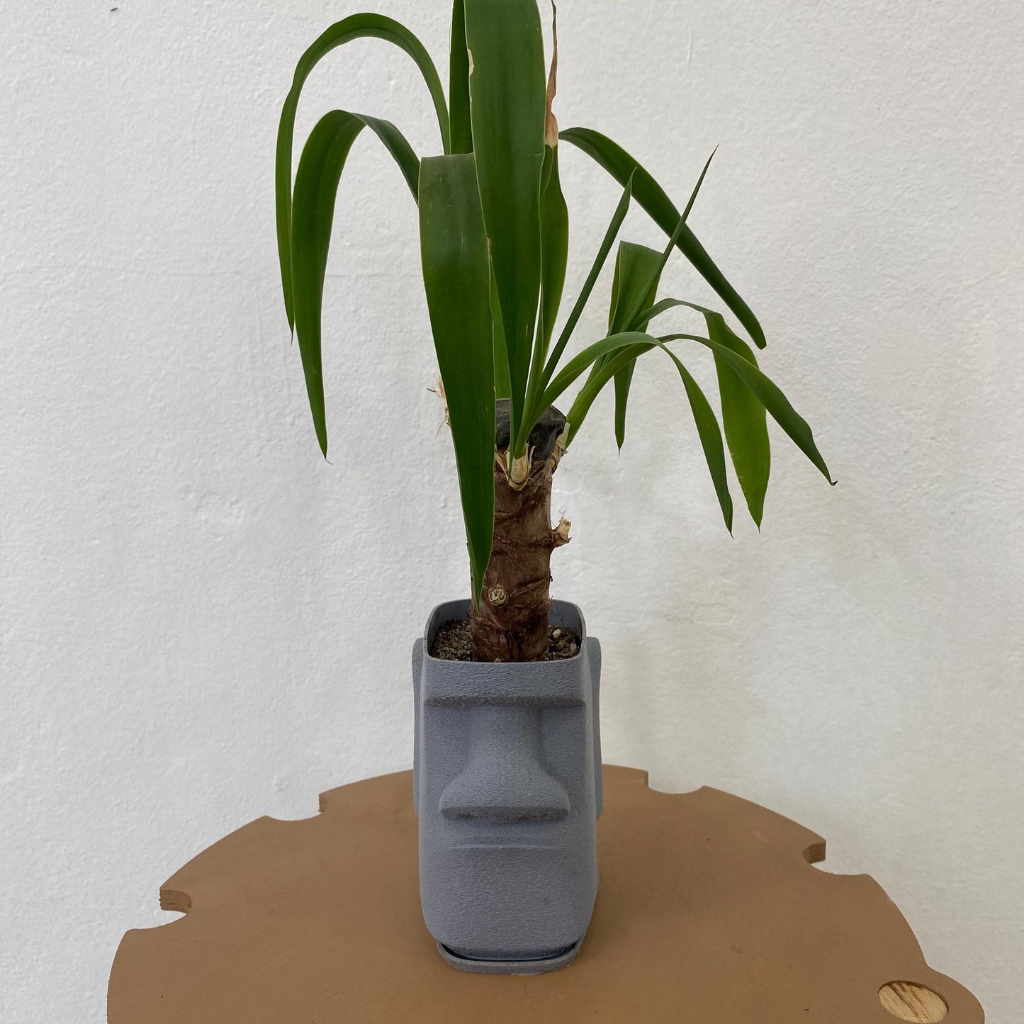 Moai Kafası Saksı – Gizli Damlama Tepsili Modern Yüz Çiçeklik